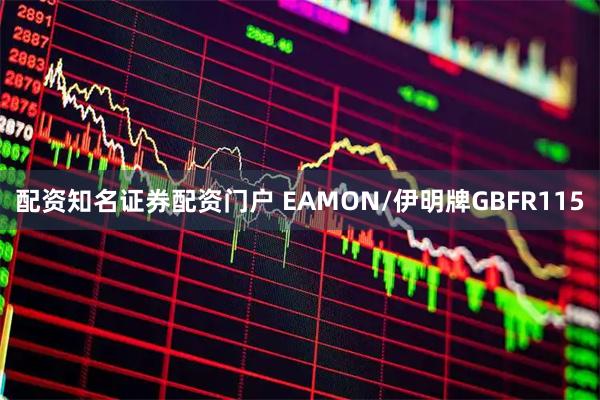 配资知名证券配资门户 EAMON/伊明牌GBFR115